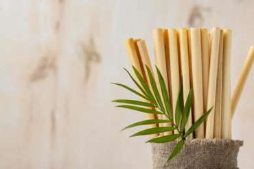 Nueva fragancia para ropa: «Bamboo»