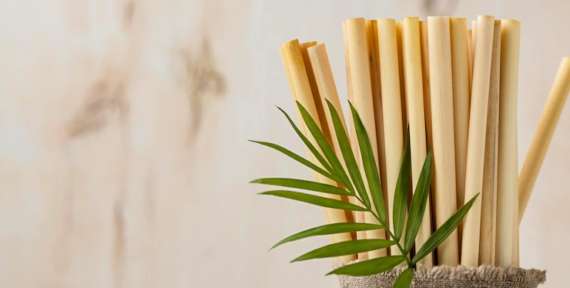 Nueva fragancia para ropa: «Bamboo»